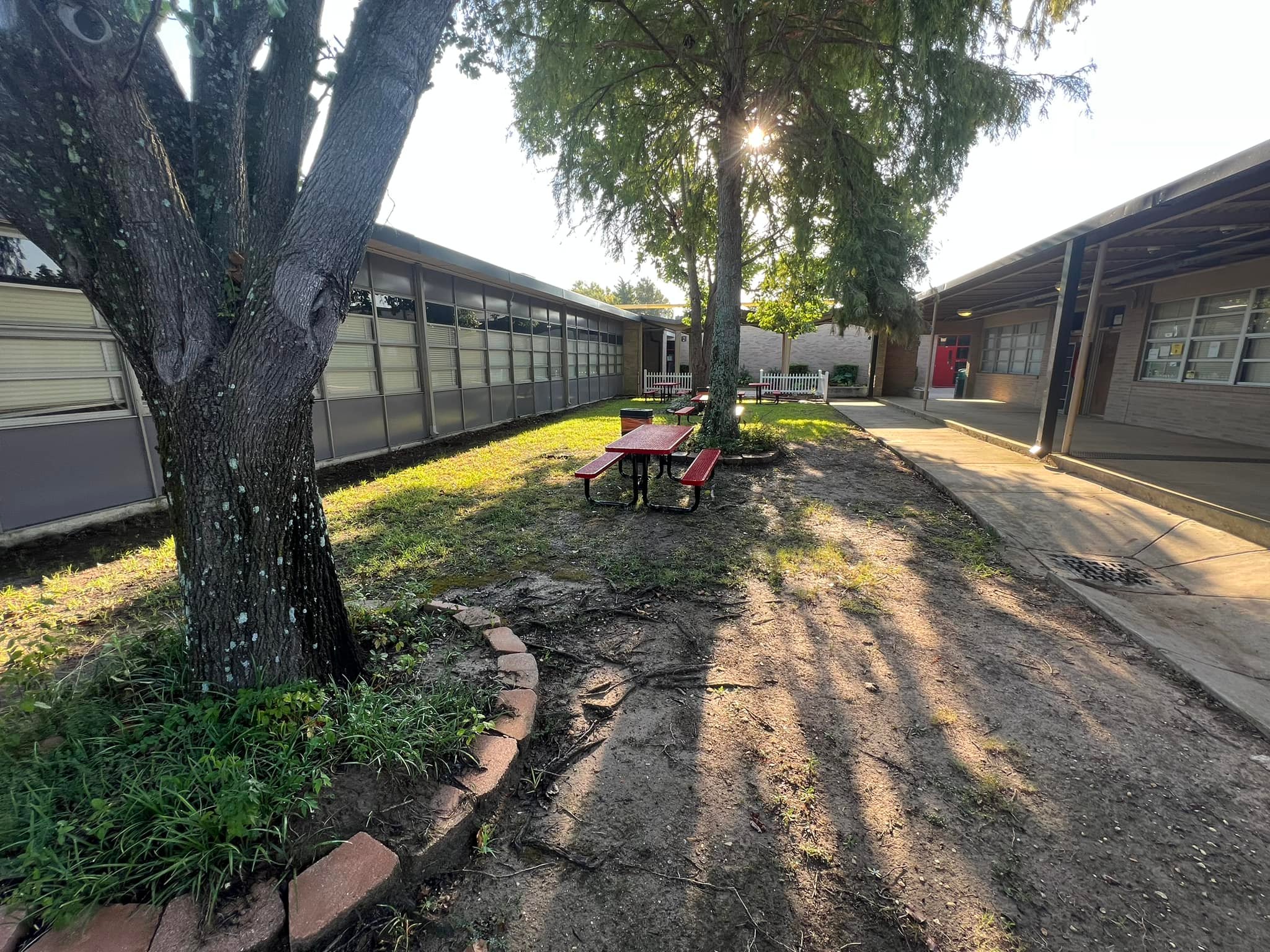 Recognizable Signs You Might Need a Professional Landscaper in Eastwood, LA