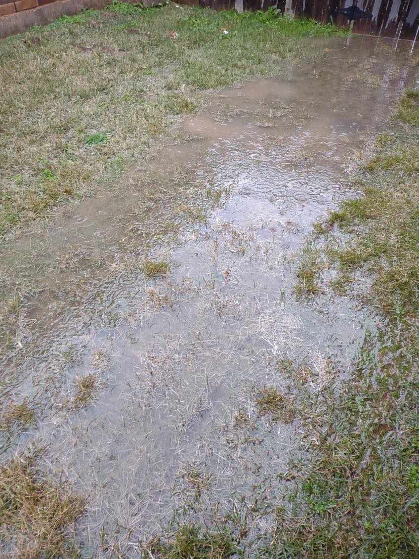 image of water flooding on lawn due to poor drainage